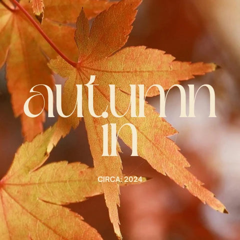 The Autumn Vault - Autumn in Waupaca™